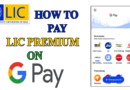 pal LIC renewal premium on Google Pay app